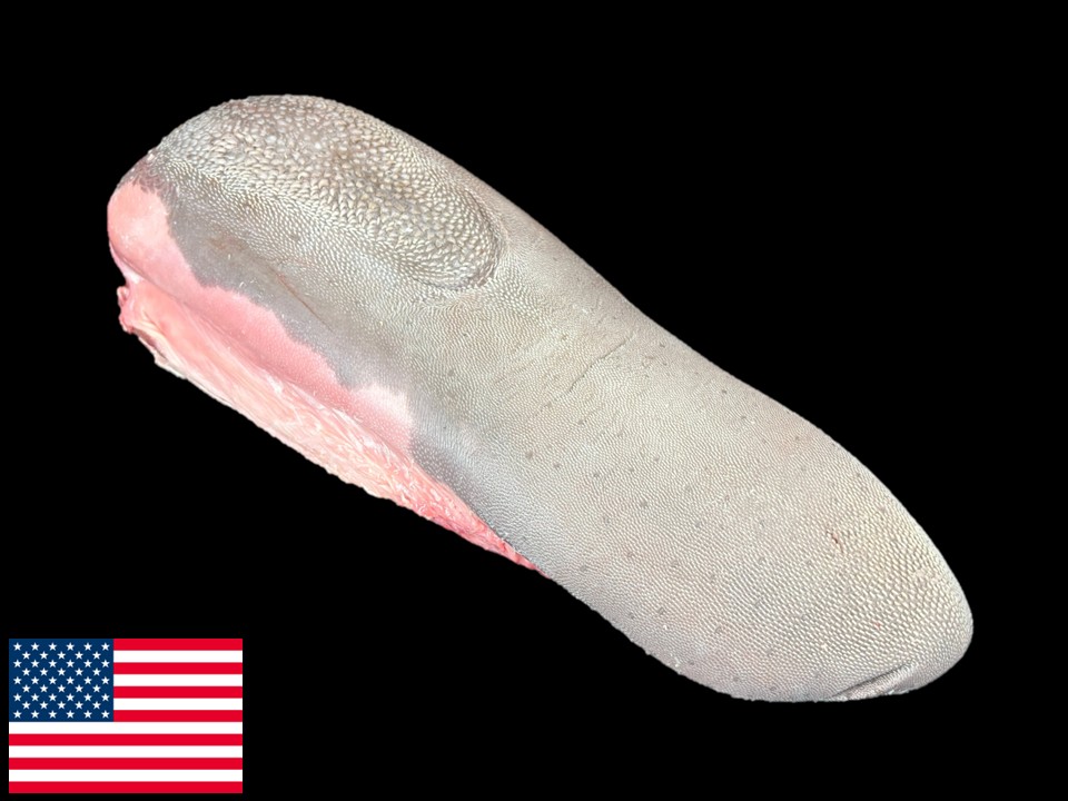 〔冷凍〕アメリカ産(マイヤー) 皮付きタン(アンガス)