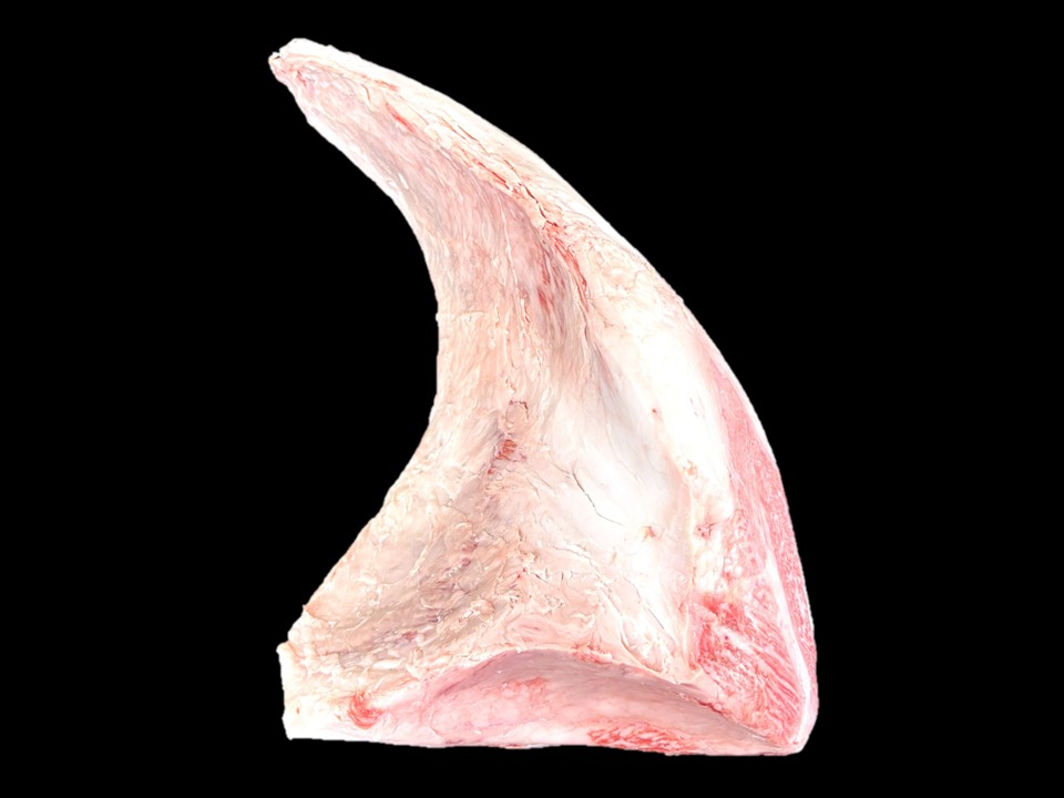 Kayページ　黒毛和牛　友三角 楽天市場】トモサンカク 友三角 ヒウチ モモ肉 500g モモ 部位