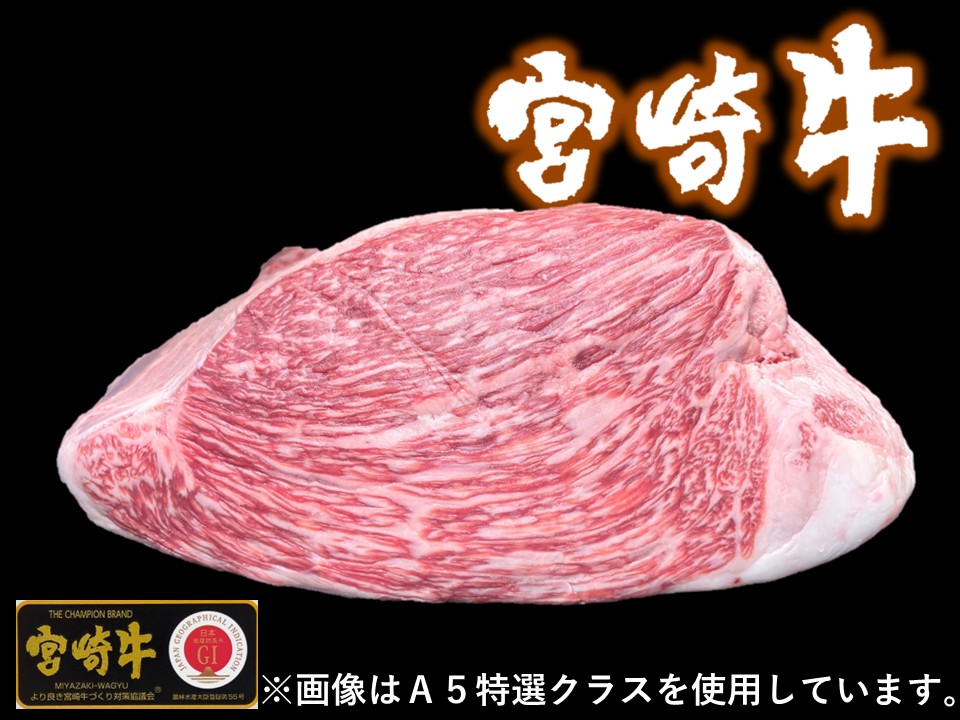 【送料無料品】黒毛和牛 宮崎県産 宮崎牛 外モモ