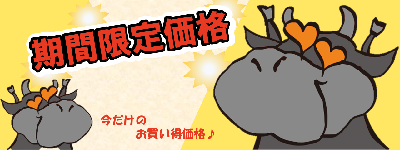 期間限定価格