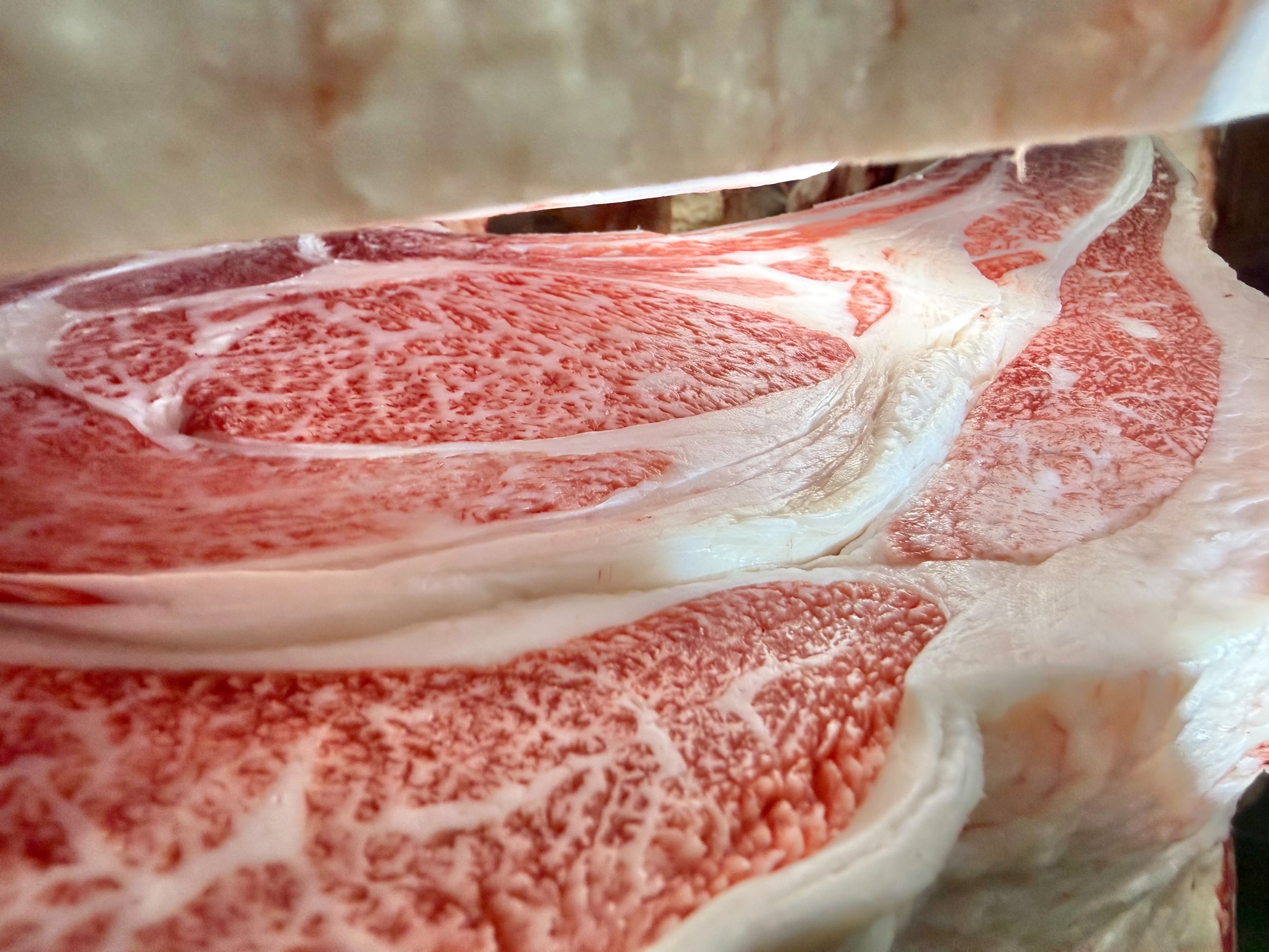 福来牛・牝画像