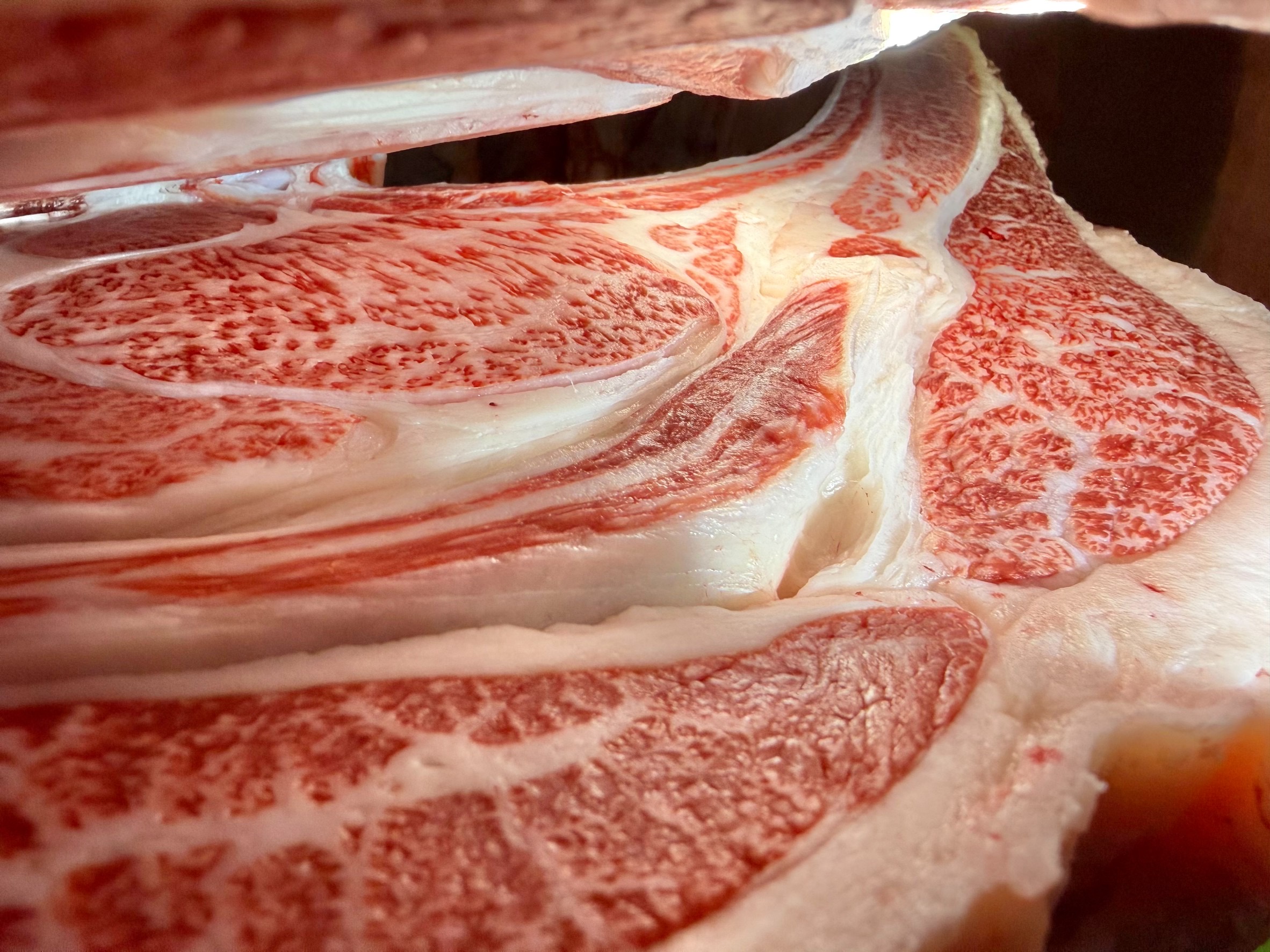 佐賀牛・牝画像