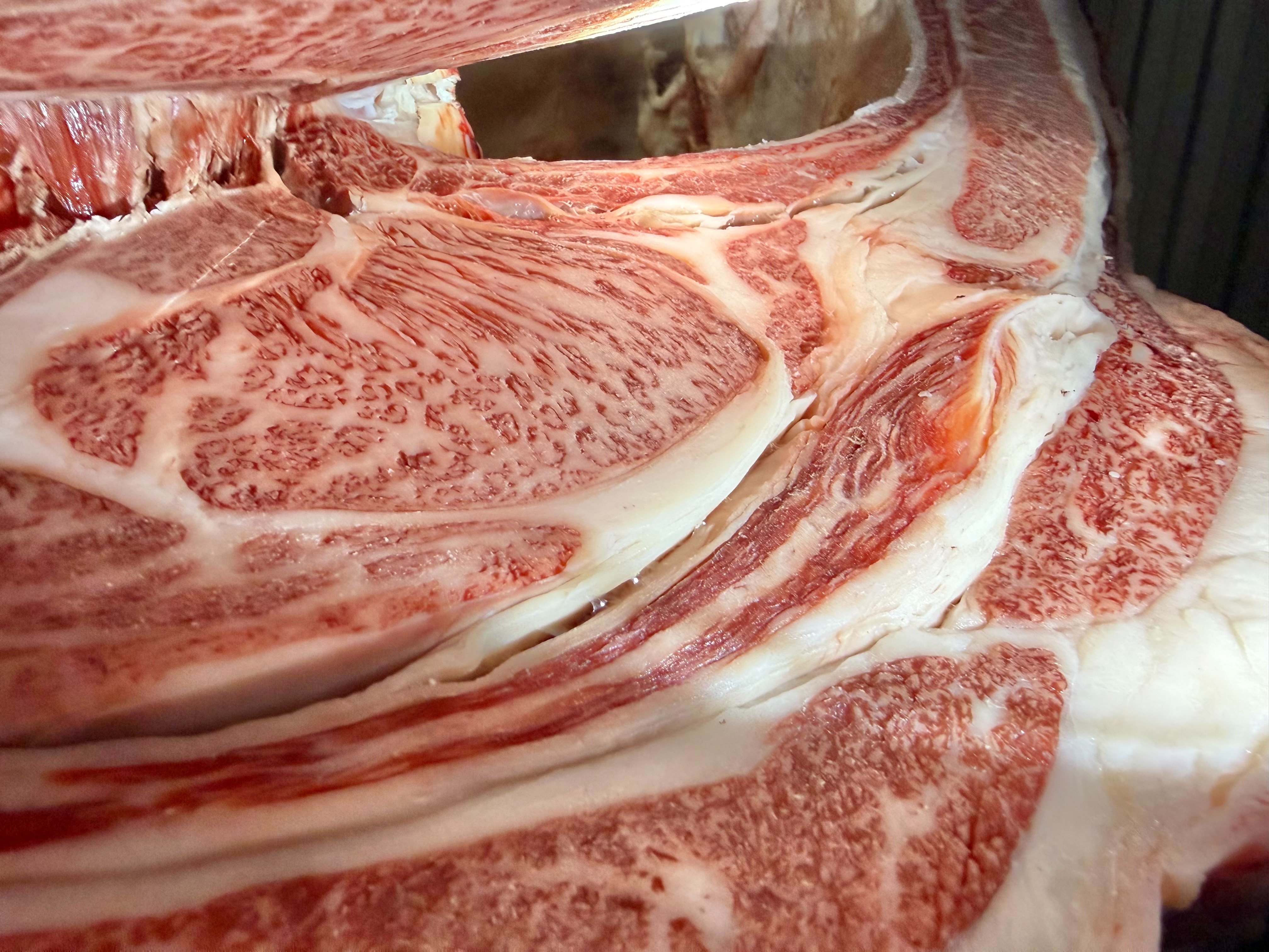 宮崎牛・牝画像