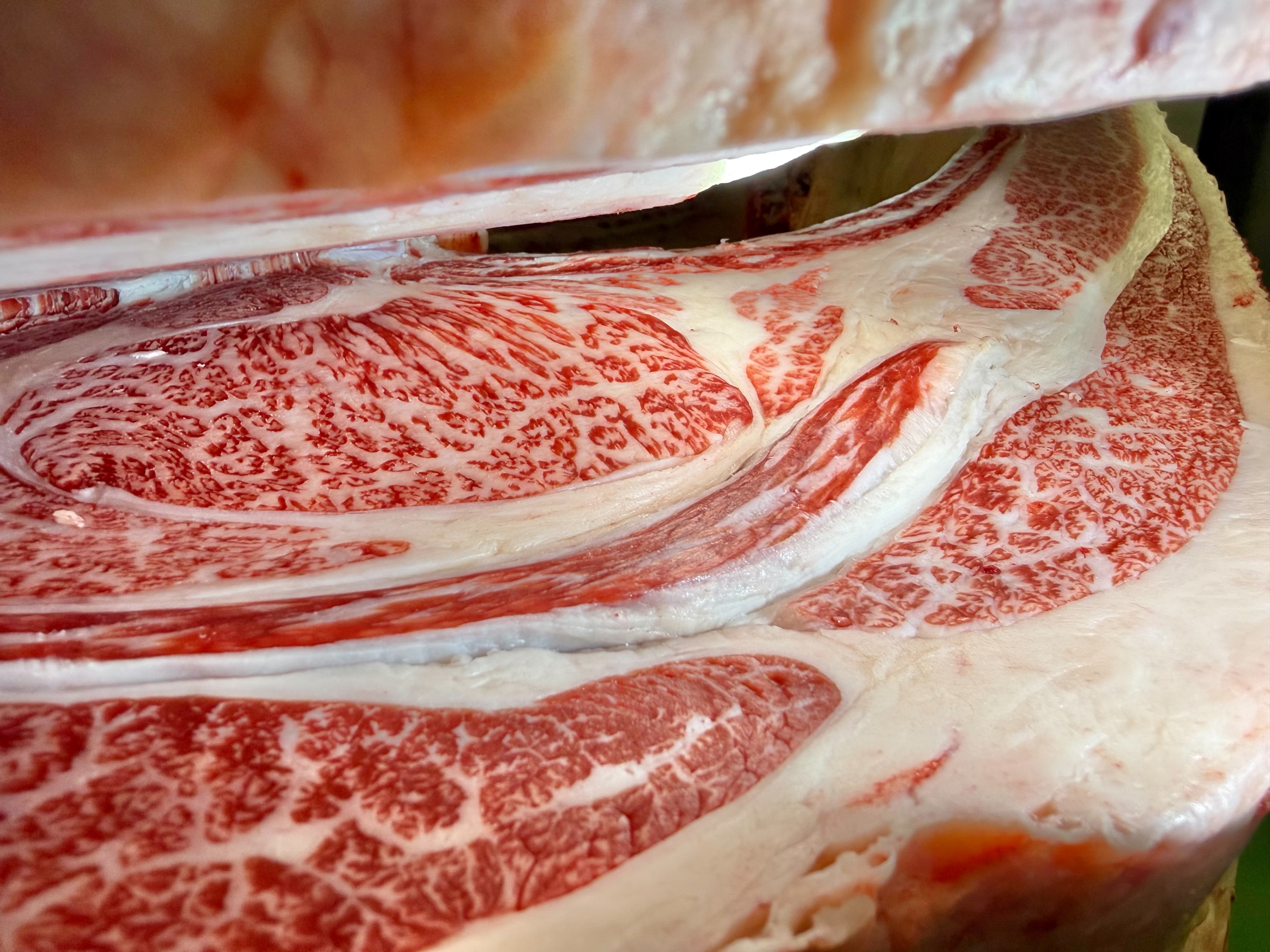 佐賀牛・牝画像