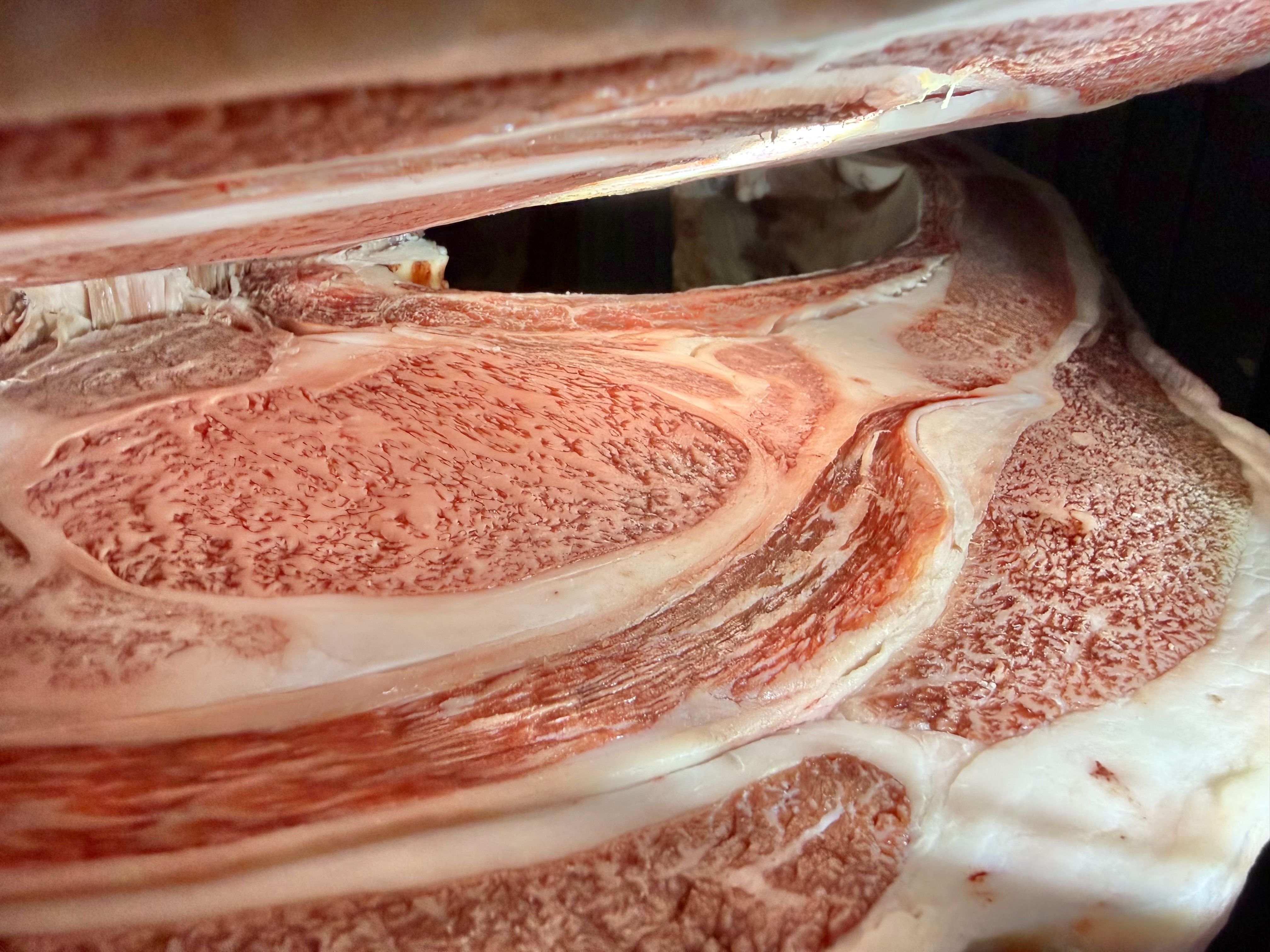 宮崎牛・牝画像