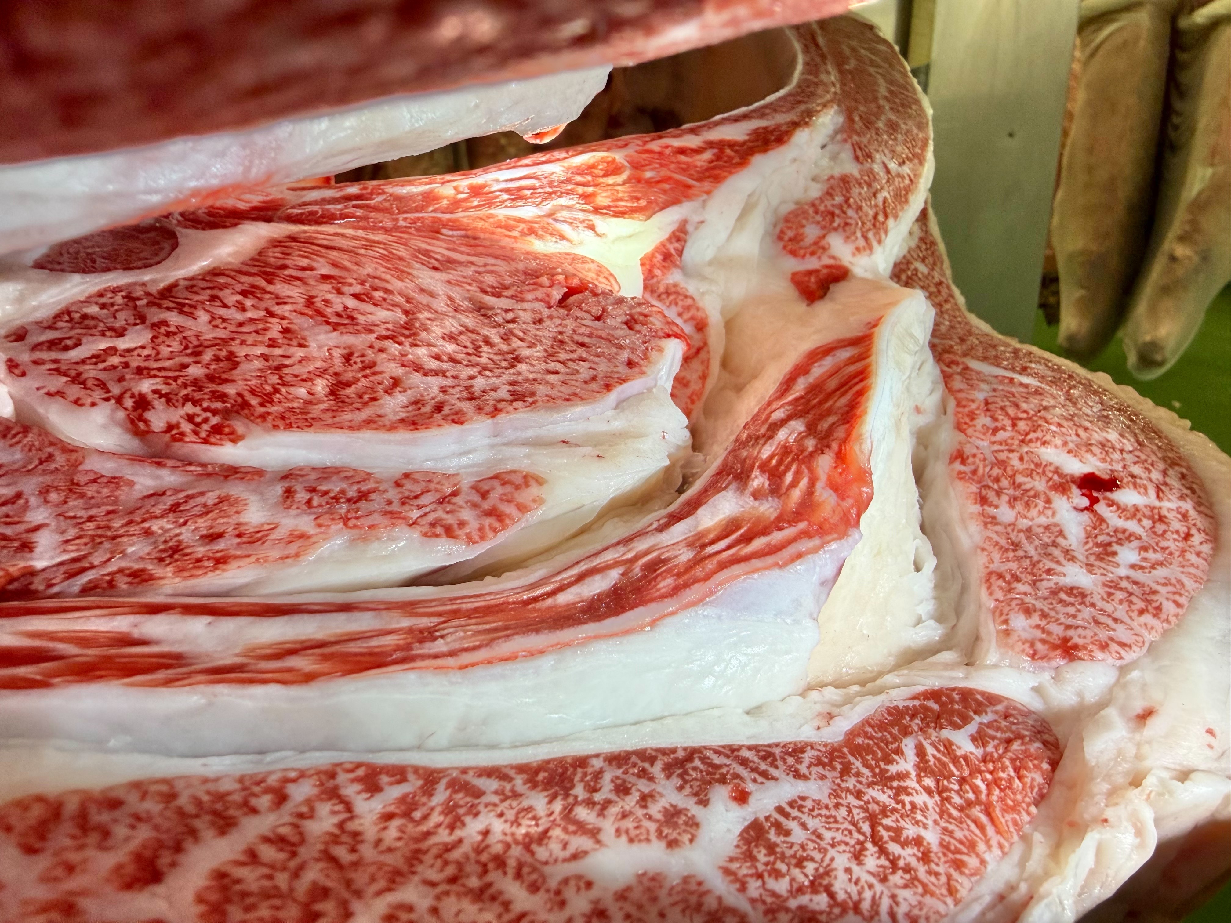 前沢牛・牝画像