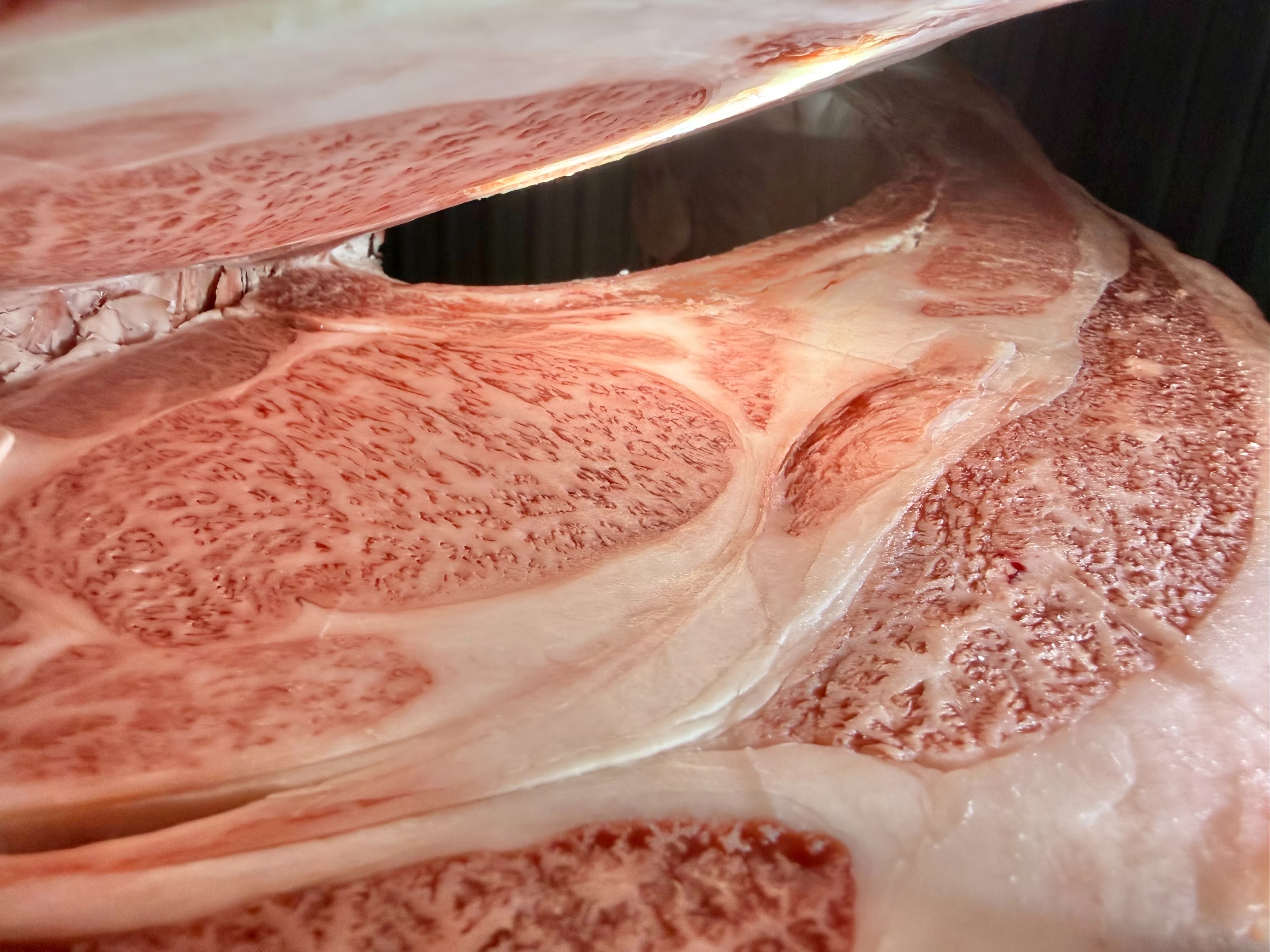 宮崎牛・牝画像