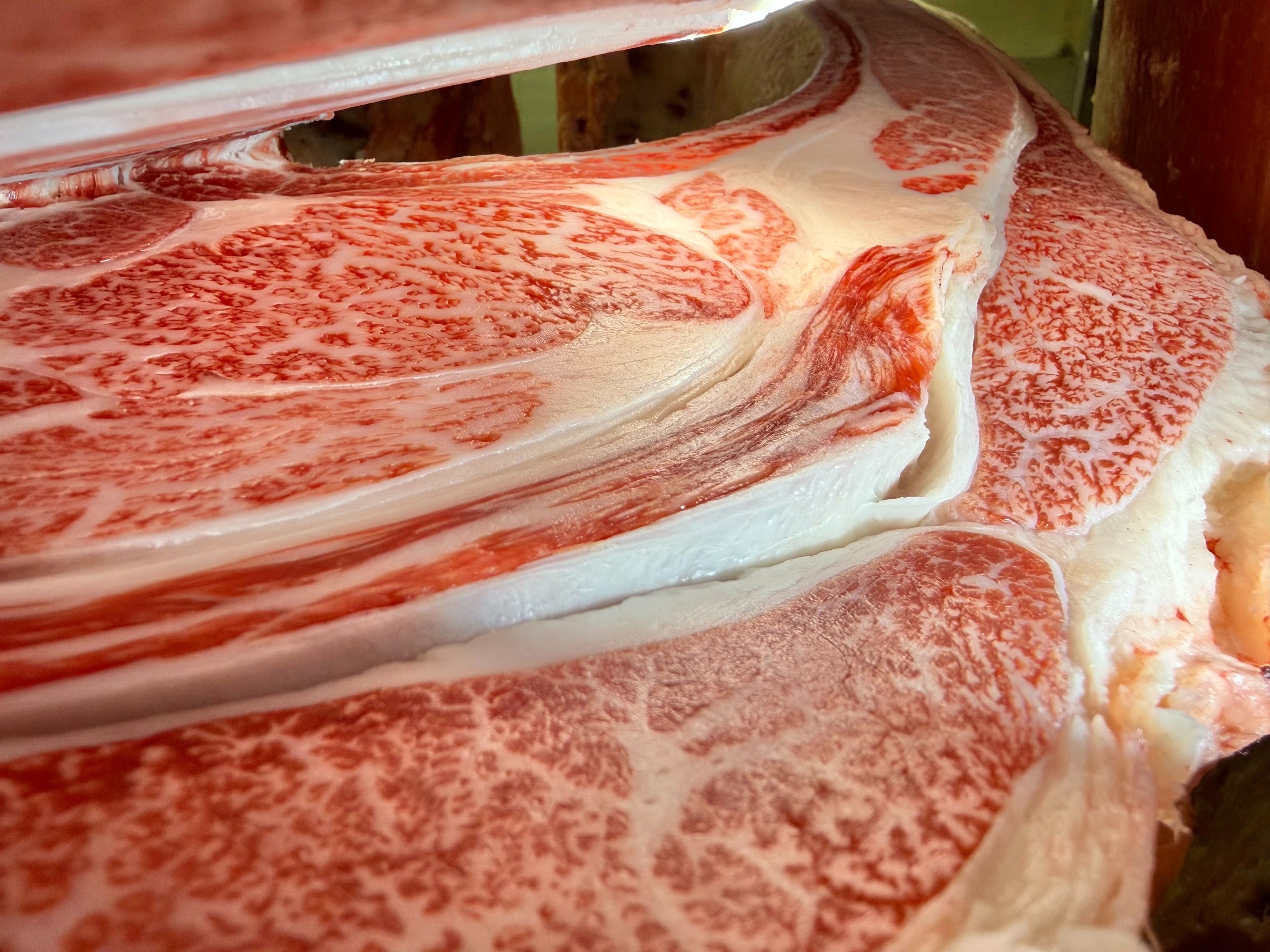 福島牛・福粕花・牝画像