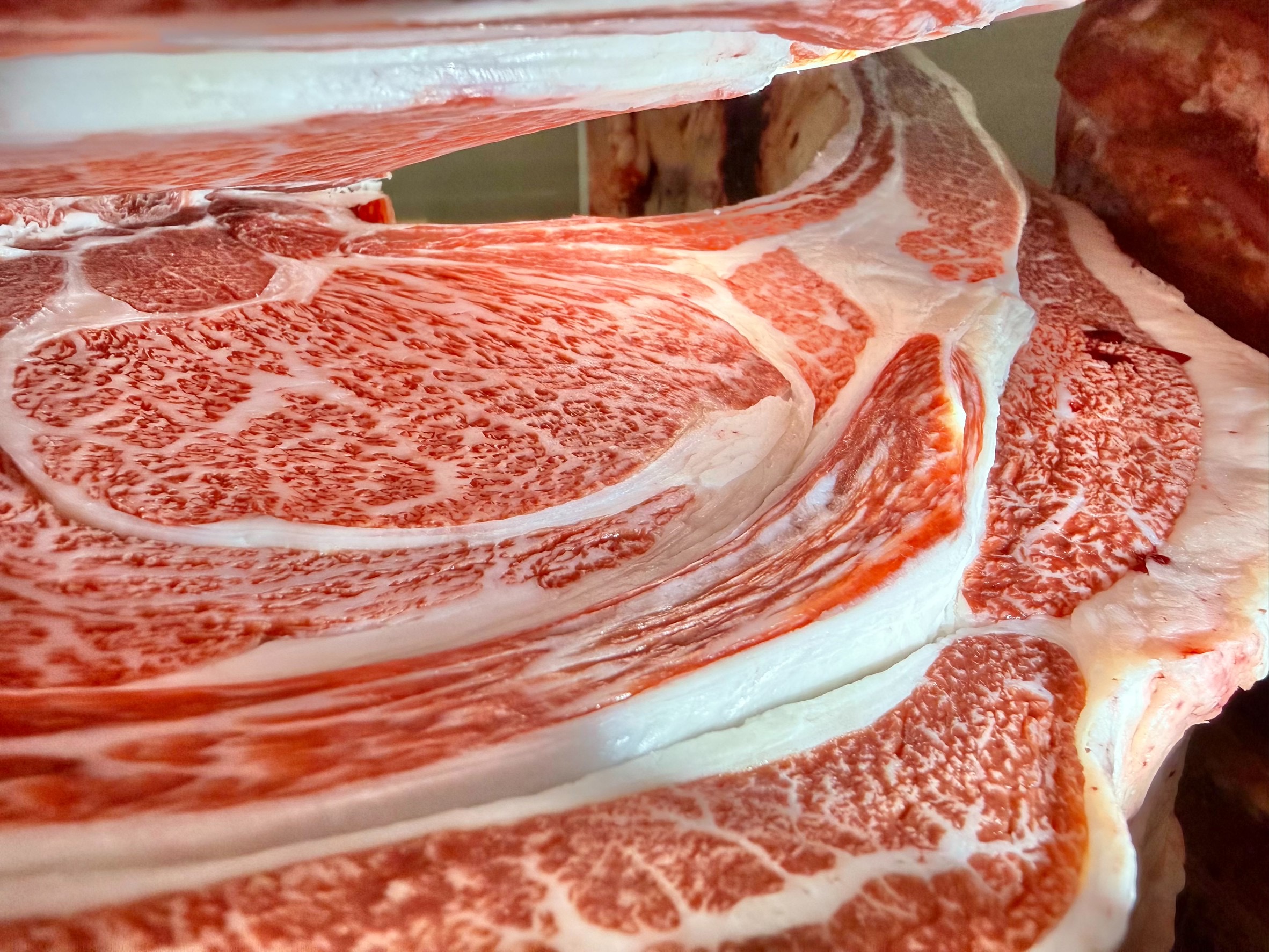 前沢牛・牝画像