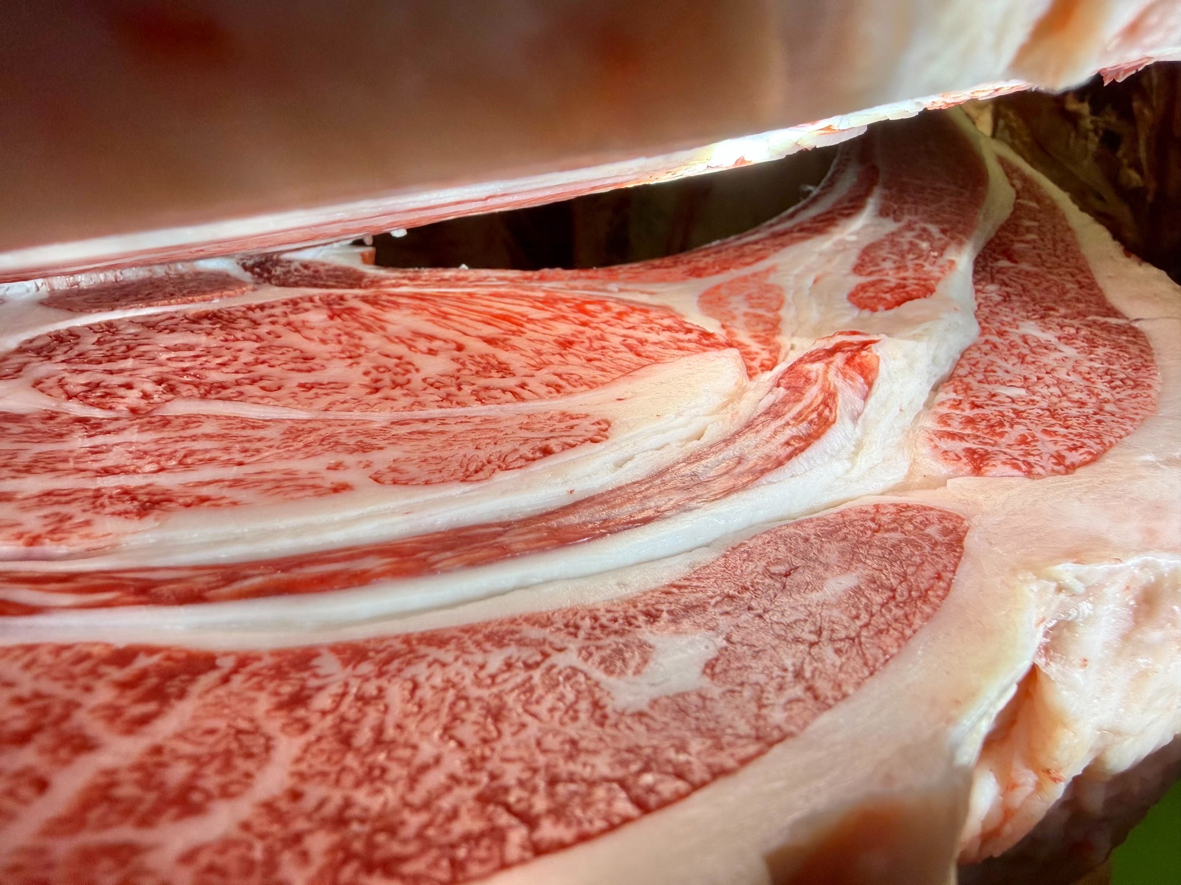 宮崎牛・牝画像