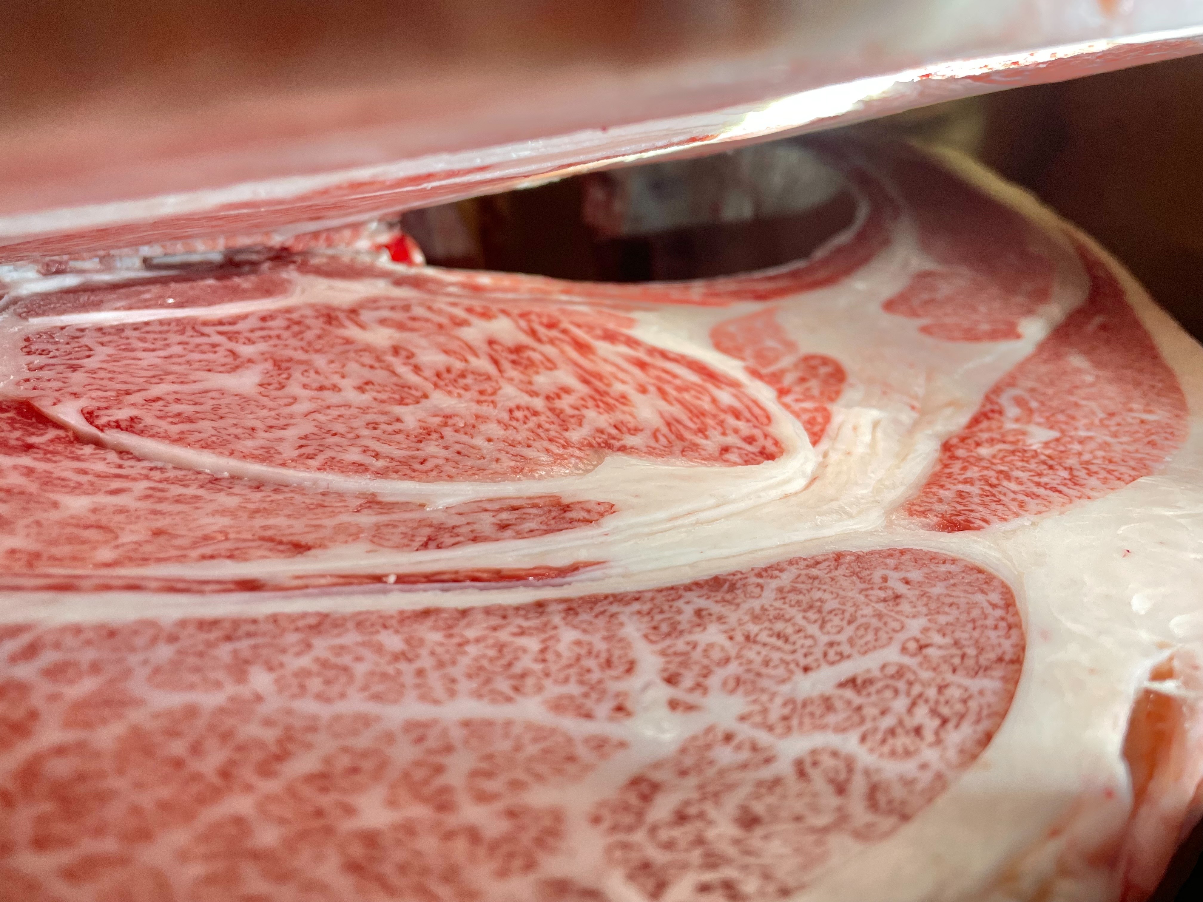 前沢牛・牝画像