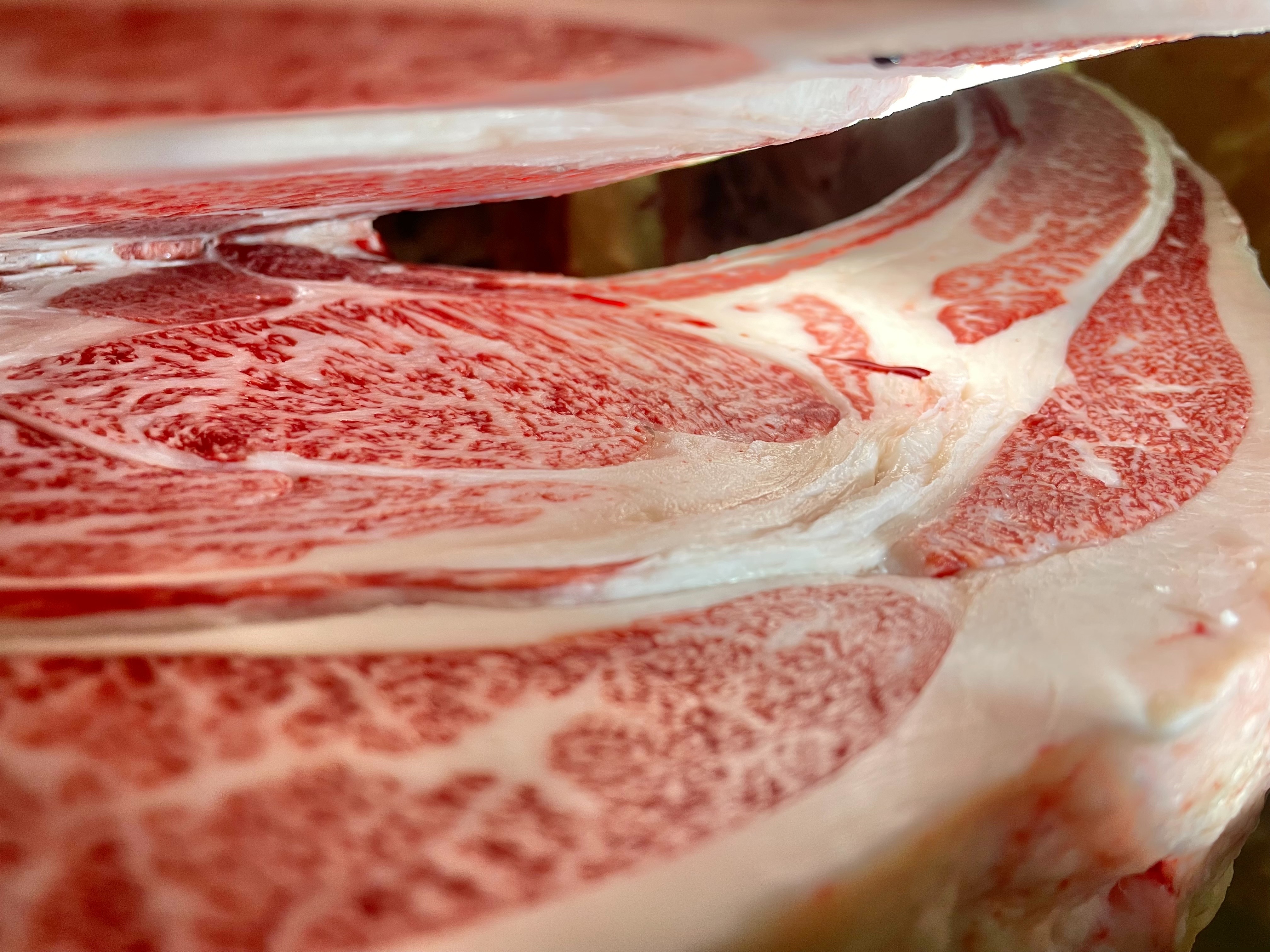 佐賀牛・牝画像