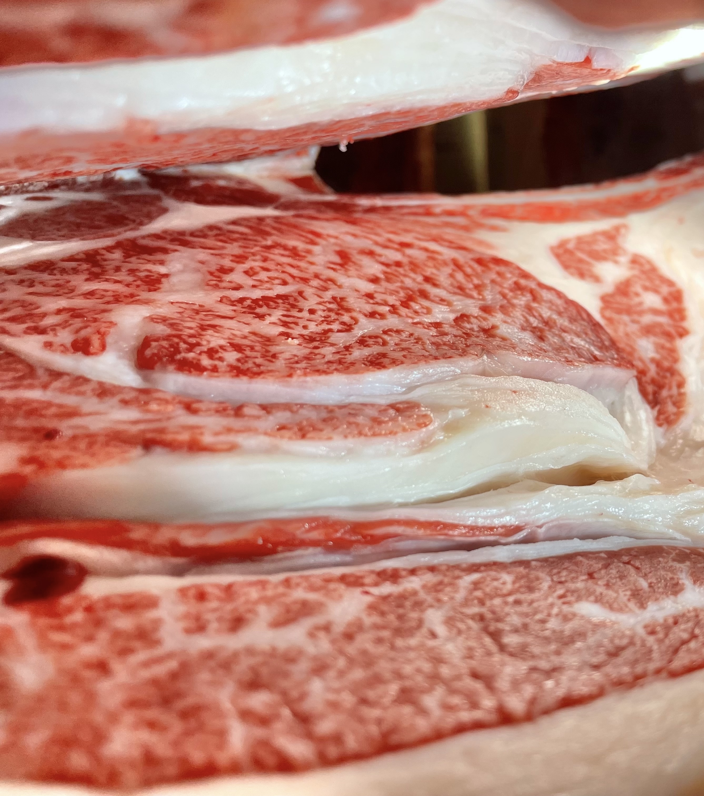 佐賀牛・牝画像