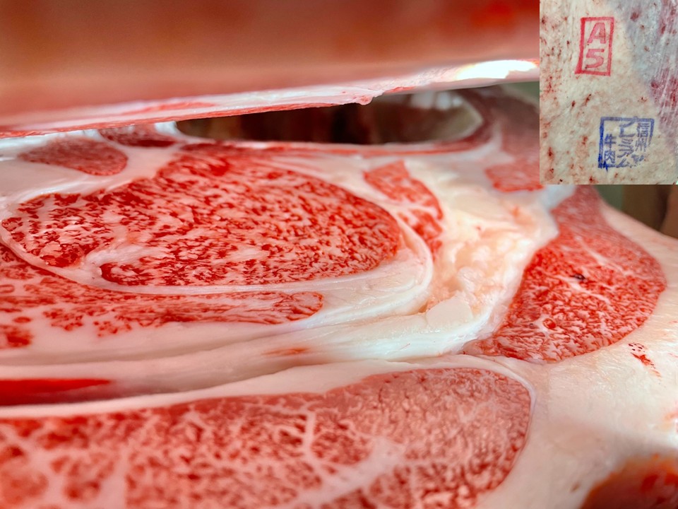 信プレ牛・牝牛画像