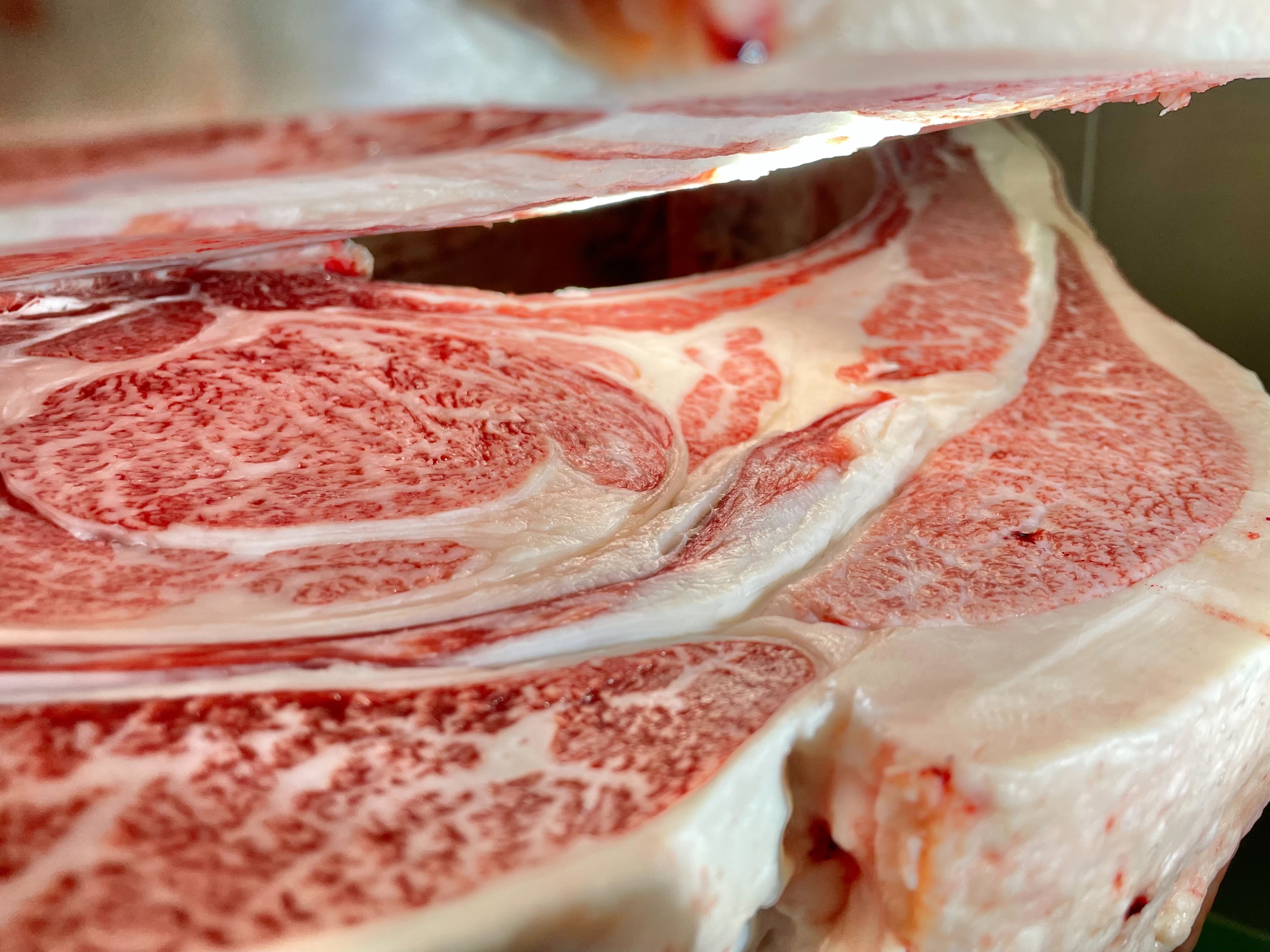 山形牛・牝画像