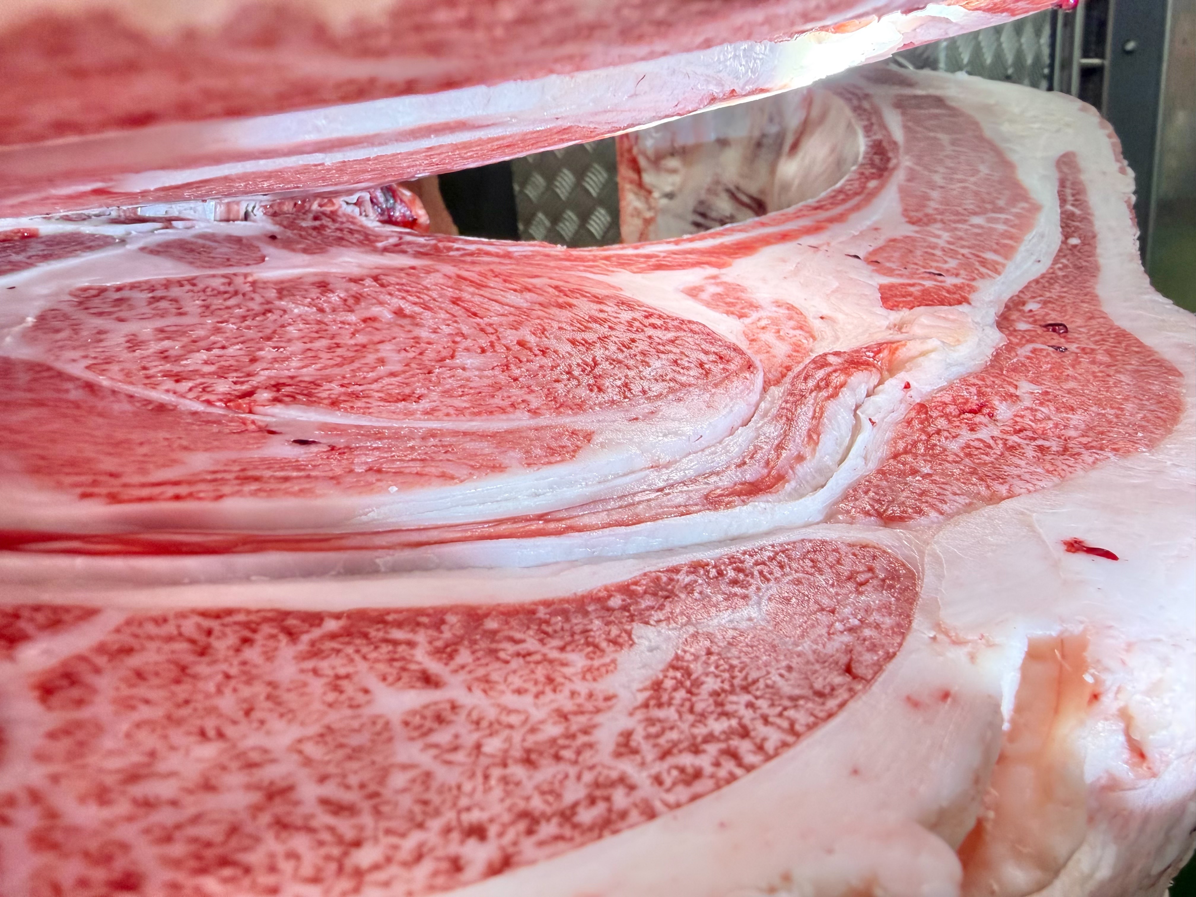 山形牛・牝画像